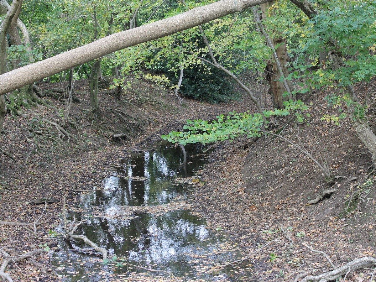 Ringsbury Camp, an Iron Age Hillfort near Purton,&nbsp;Wiltshire